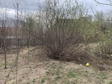 Земельный участок.Общий вид объекта.Местоположение установлено относительно ориентира, расположенного в границах участка. Почтовый адрес ориентира_ г Москва, ш Каширское, вл 63_13._2.jpg