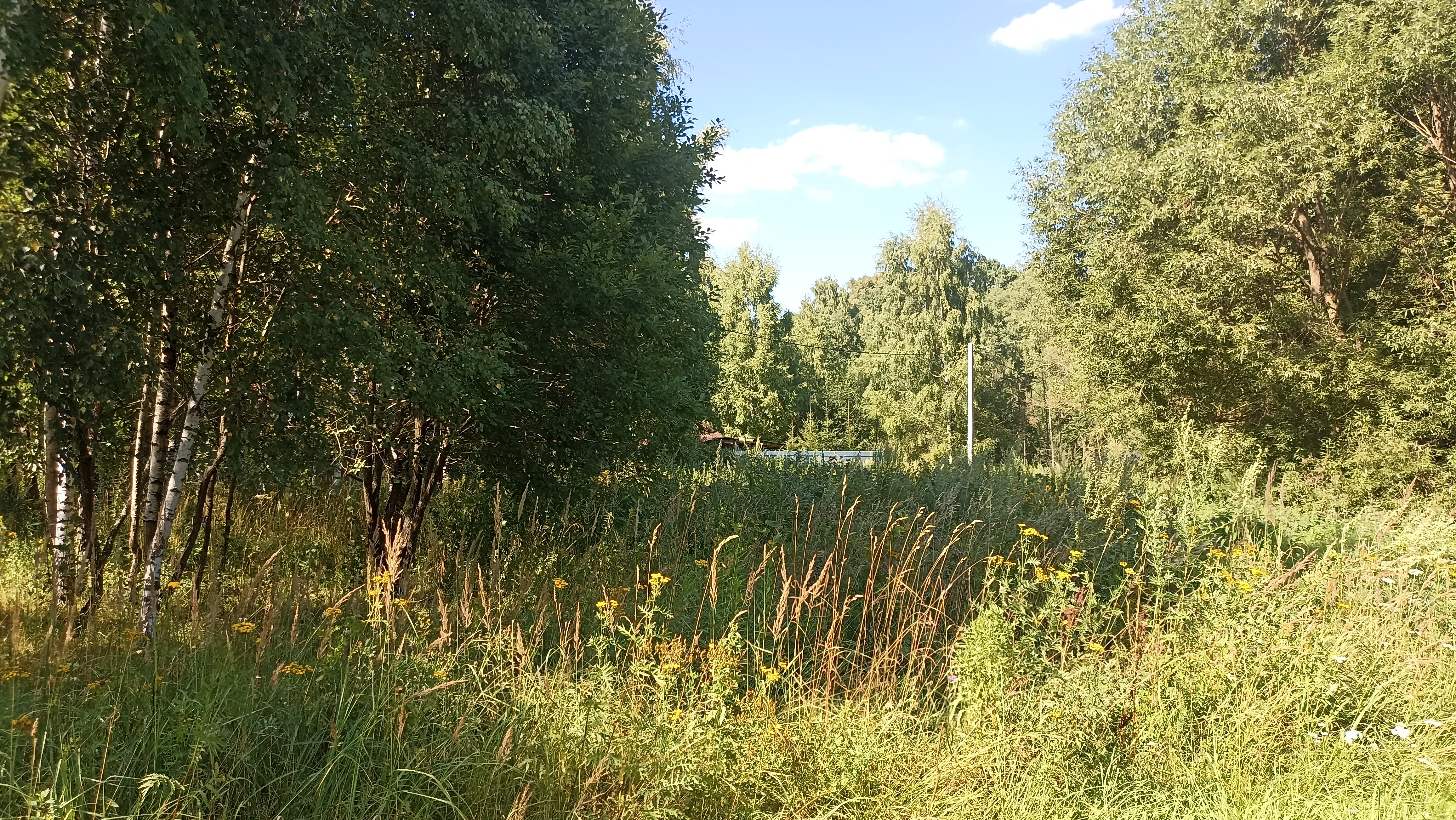 Земельный участок.Общий вид объекта.город Москва, внутригородская территория поселение Первомайское, деревня Конюшково, земельный участок 39А _11.jpg