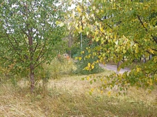 ГП16914822.Земельный участок.Общий вид объекта_4.jpg