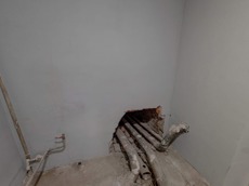 ГП16913823.Нежилое помещение.Каждое помещение_комната, входящее в состав реализуемого объекта _6.jpg