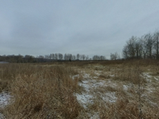 ГП16947923.Земельный участок.Общий вид объекта.jpg