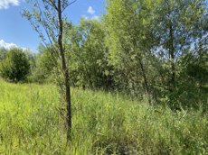 ГП16953575.Некапитальный объект.Общий вид объекта_13.jpeg
