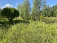 ГП16953575.Некапитальный объект.Общий вид объекта_11.jpeg