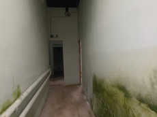 ГП16955194.Нежилое помещение.Каждое помещение_комната, входящее в состав реализуемого объекта _10.jpg