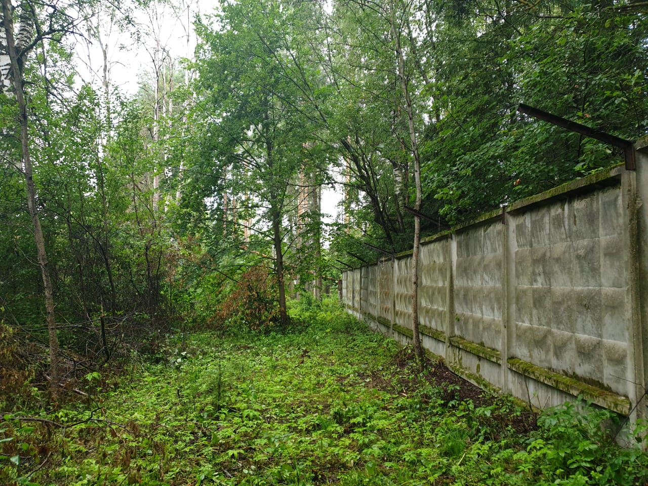 ГП16961320.Земельный участок.Общий вид объекта_7.jpg
