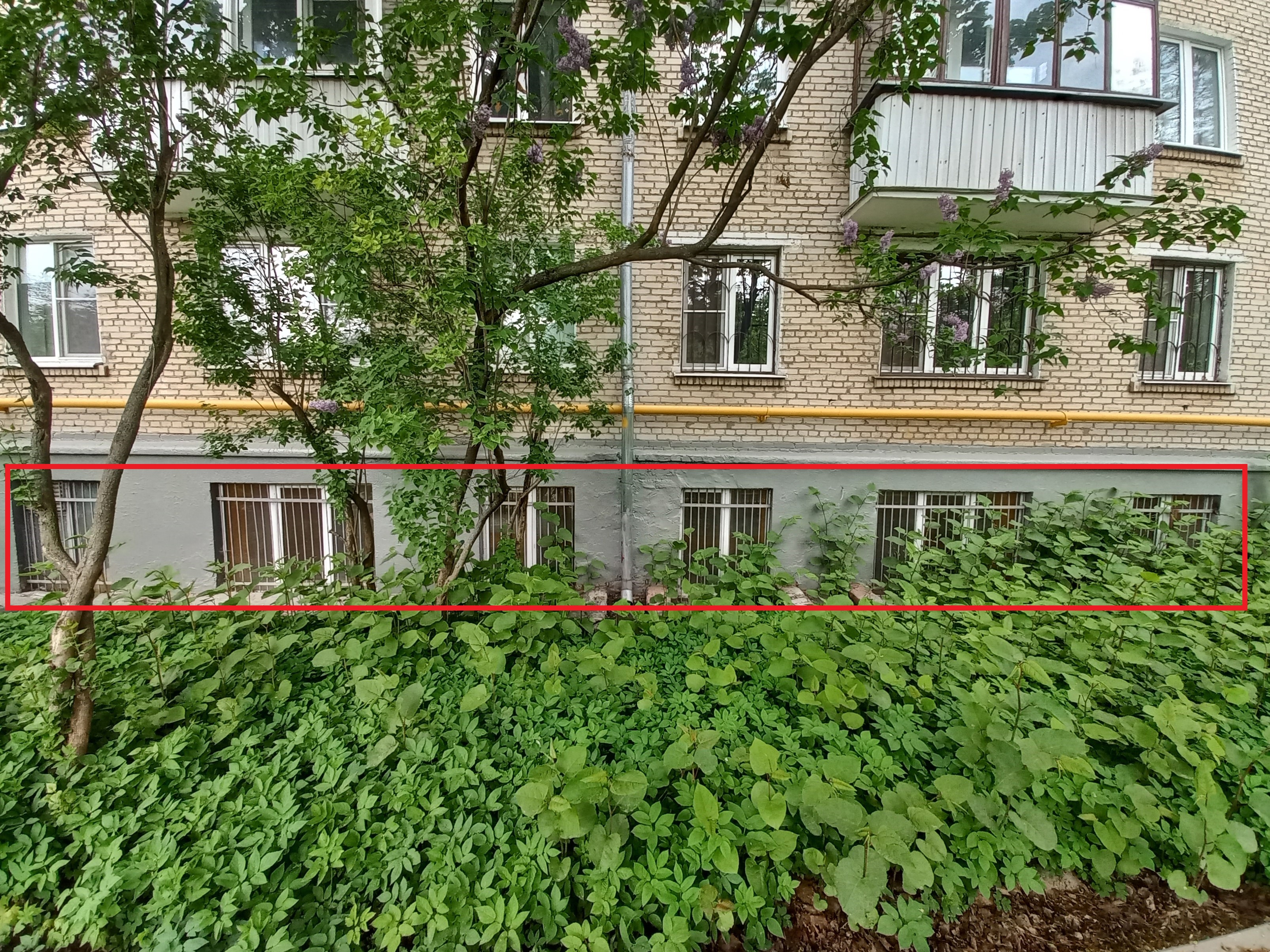 ГП16805803.Нежилое помещение.Фасад здания с выделенными окнами реализуемого объекта_2.jpg