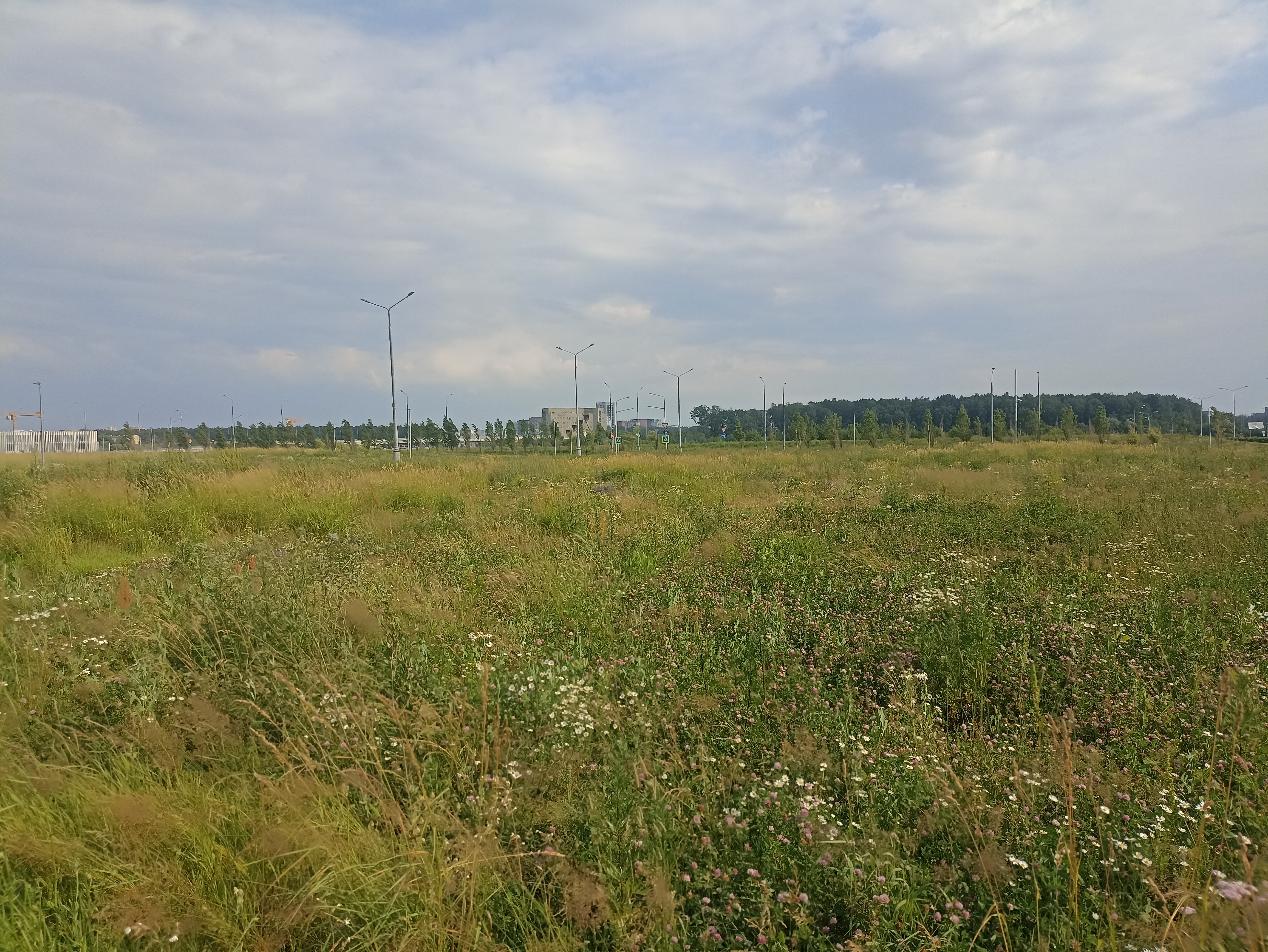 ГП16964416.Земельный участок.Общий вид объекта_2.jpg