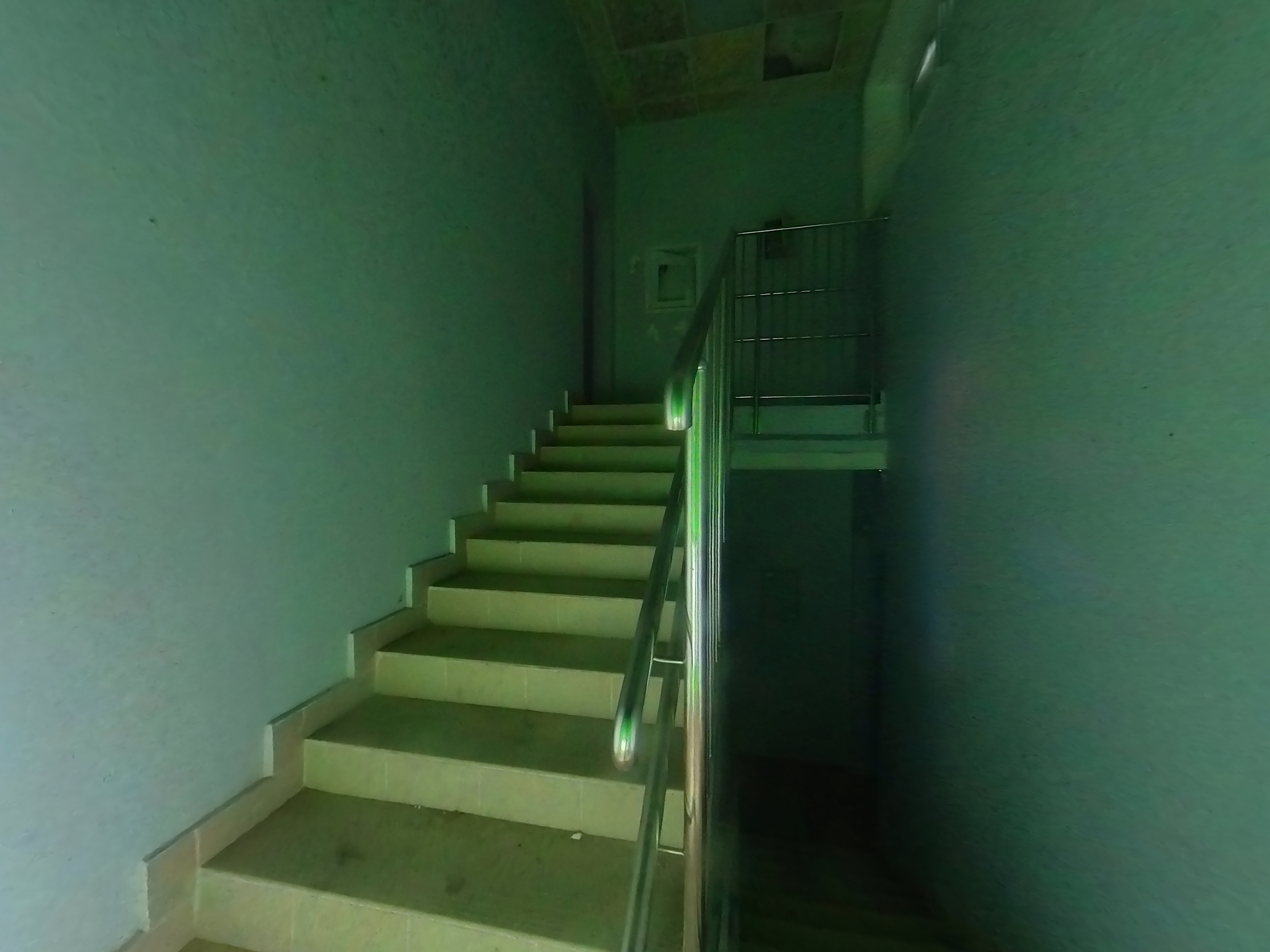 ГП16955456.Здание.Лестничные марши и площадки_4.jpg