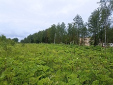 ГП16963489.Земельный участок.Общий вид объекта_10.jpg