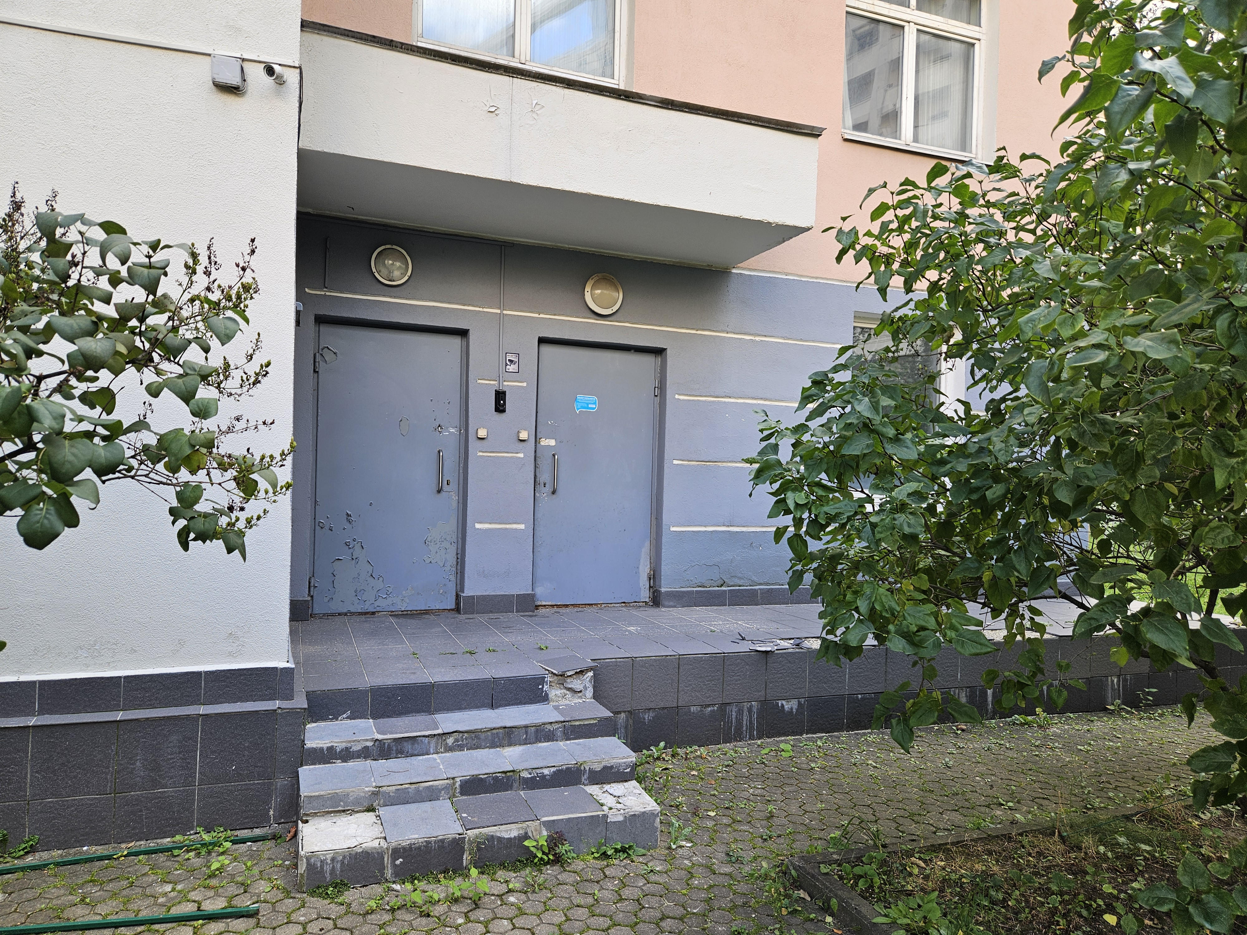 ГП16966837.Нежилое помещение.Входная группа объекта.jpg