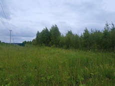 ГП16963489.Земельный участок.Общий вид объекта_9.jpg
