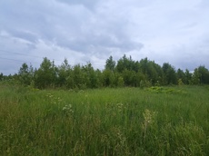 ГП16963489.Земельный участок.Общий вид объекта_10.jpg