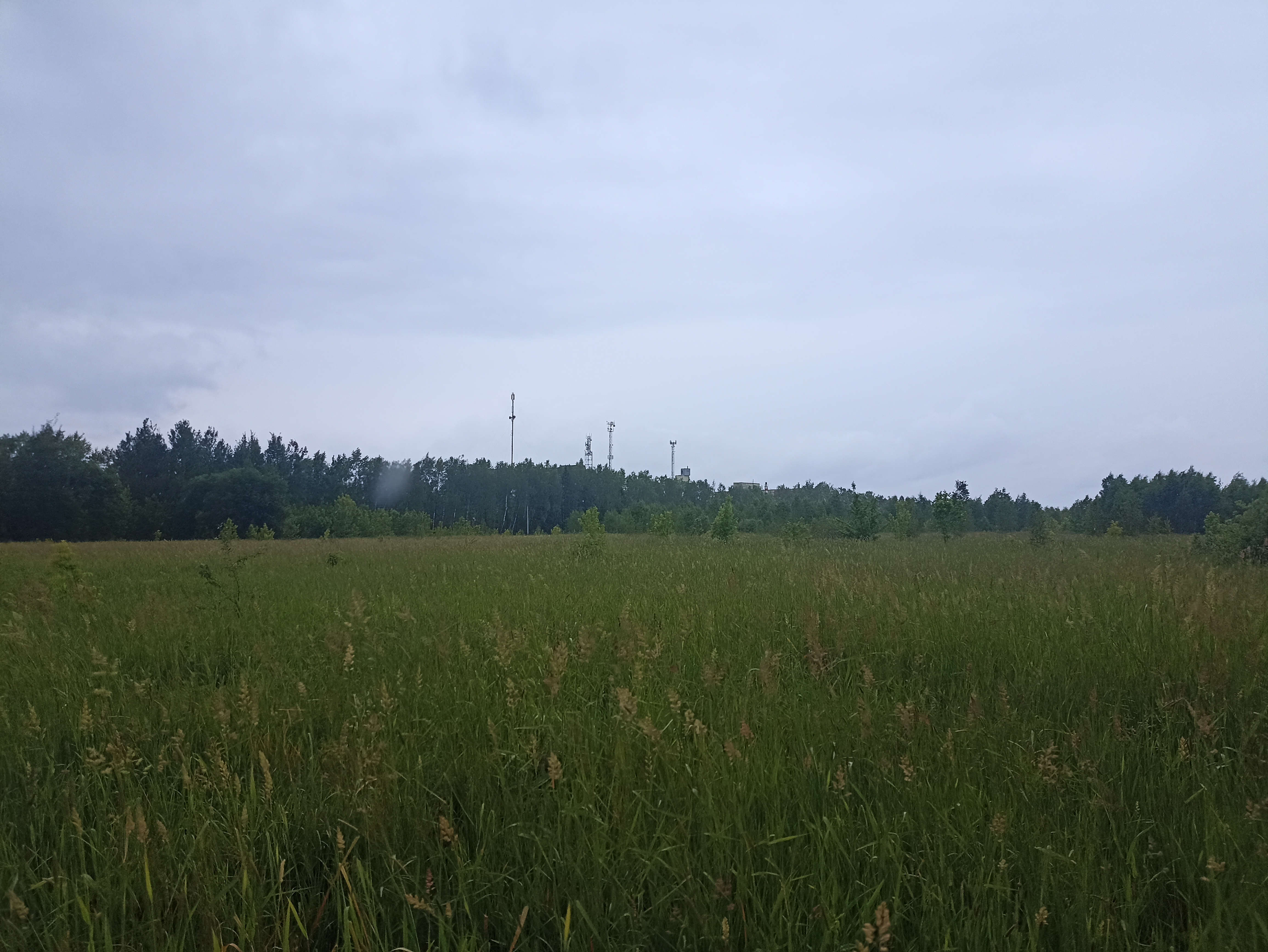 ГП16963489.Земельный участок.Общий вид объекта_2.jpg