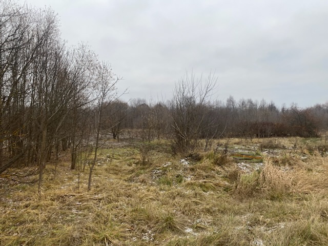 ГП16956545.Земельный участок.Общий вид объекта_10.jpeg