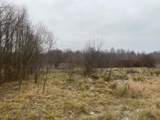 ГП16956545.Земельный участок.Общий вид объекта_10.jpeg