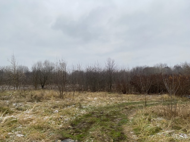 ГП16956545.Земельный участок.Общий вид объекта_9.jpeg