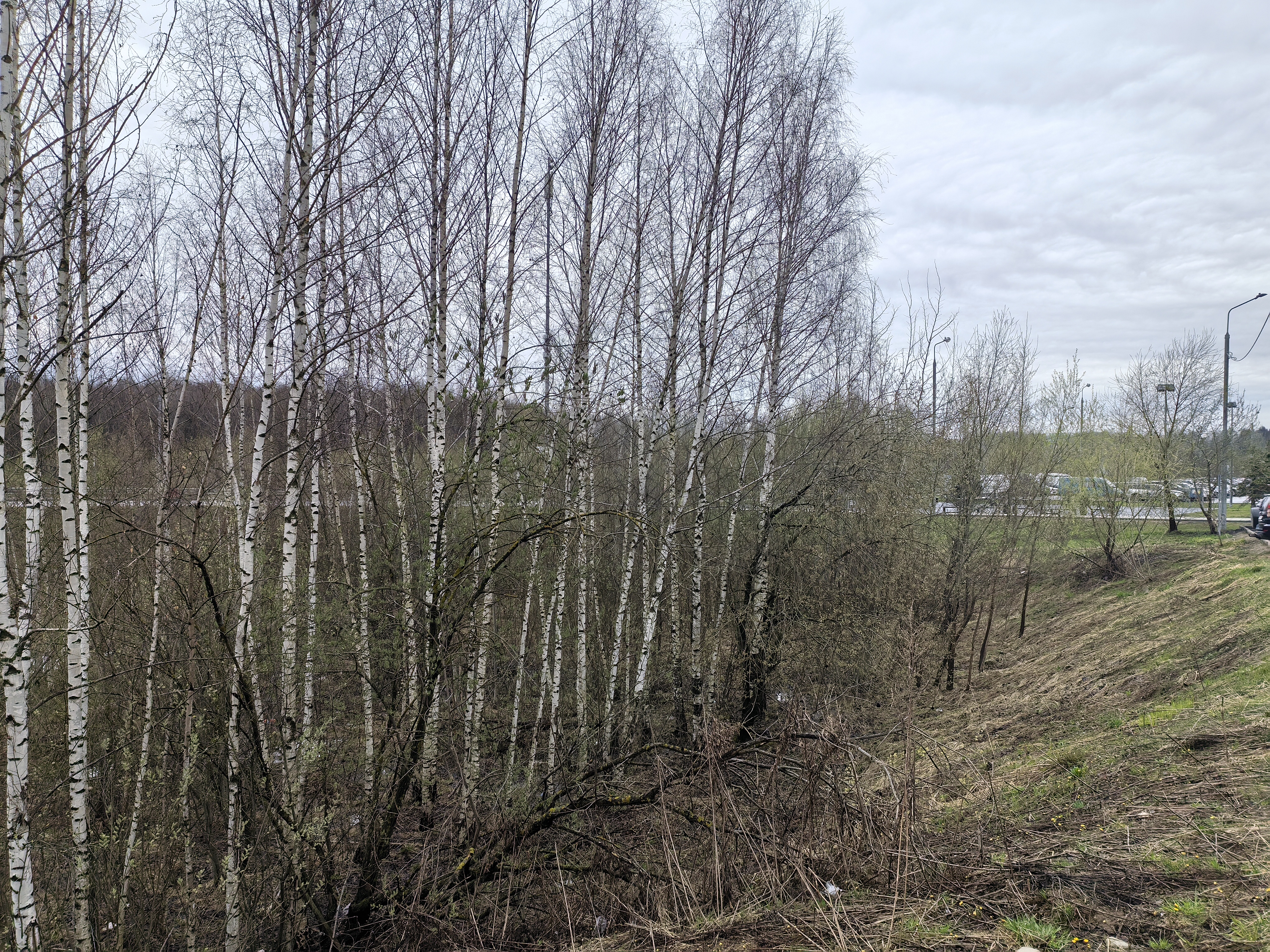 ГП16991574.Земельный участок.Общий вид объекта_10.jpg