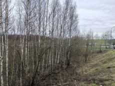 ГП16991574.Земельный участок.Общий вид объекта_10.jpg