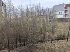 ГП16991574.Земельный участок.Общий вид объекта_5.jpg