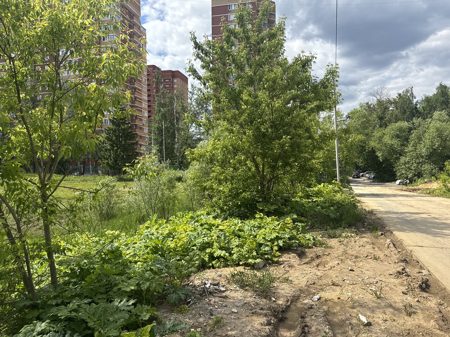 ГП16982067.Некапитальный объект.Общий вид объекта_10.jpg