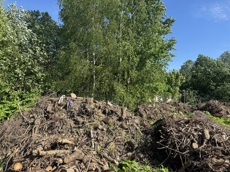 ГП16976117.Некапитальный объект.Общий вид объекта_7.jpg