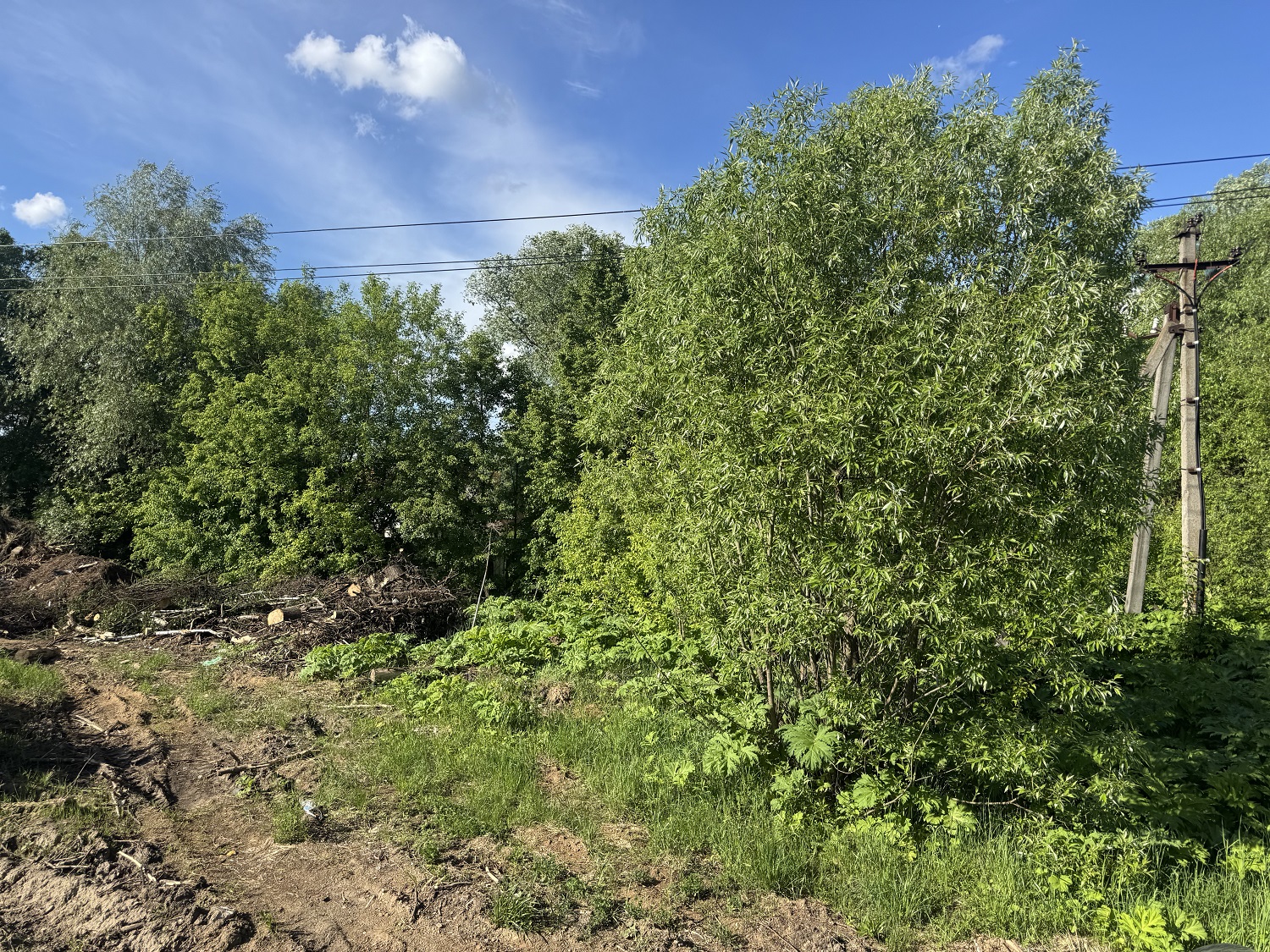 ГП16976117.Некапитальный объект.Общий вид объекта_3.jpg