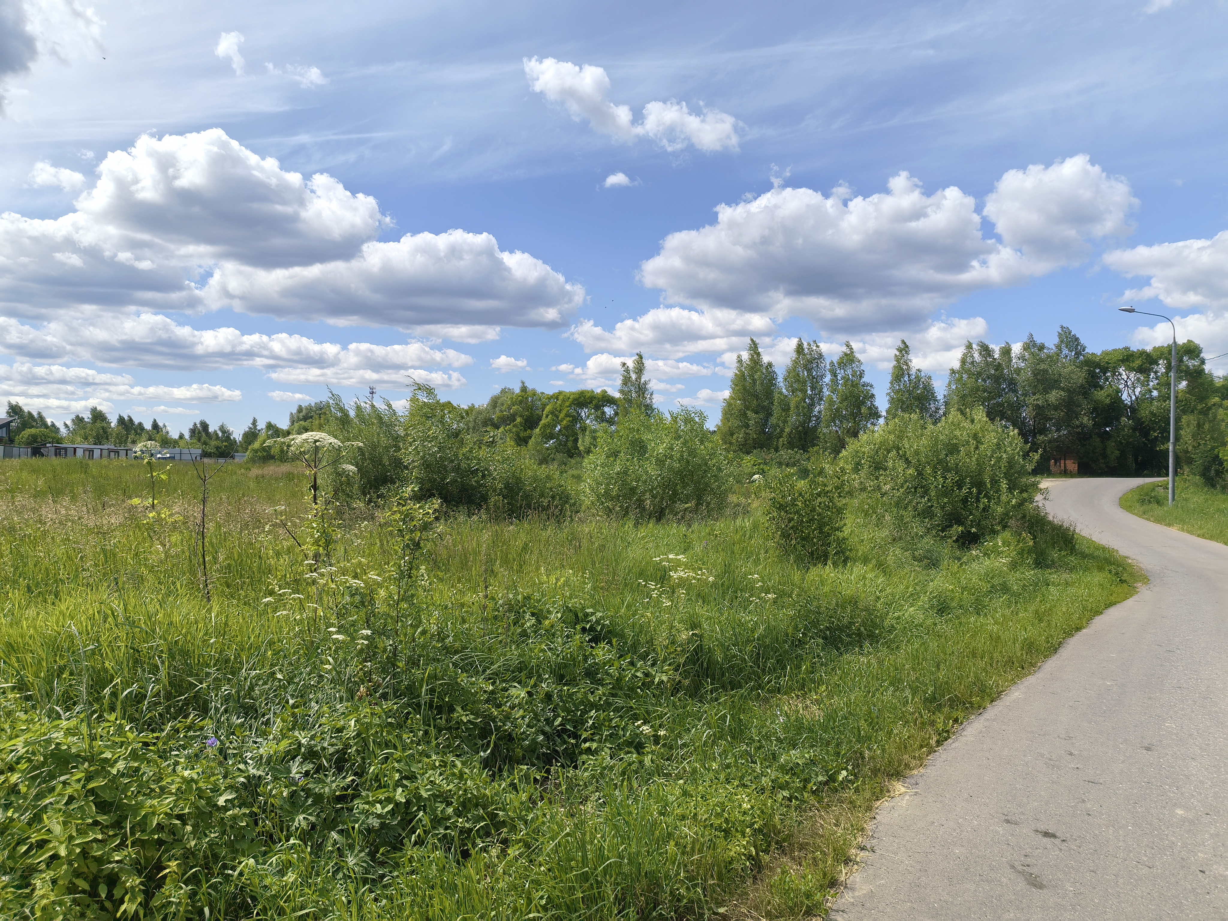 ГП16999945.Земельный участок.Общий вид объекта.jpg