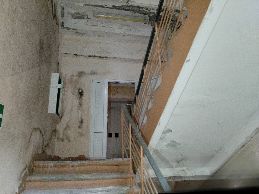 ГП16990281.Здание.Лестничные марши и площадки_3.jpg
