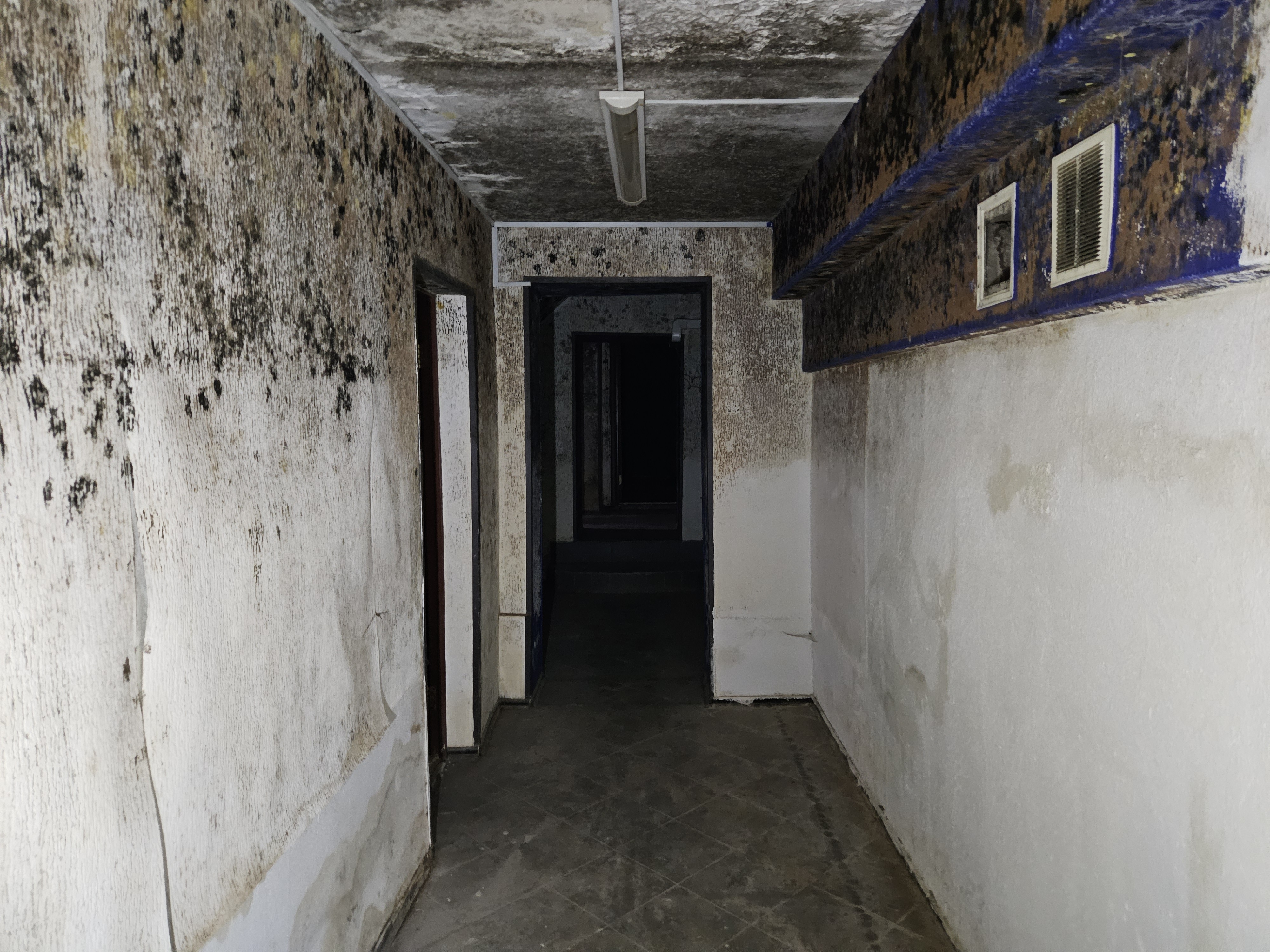 ГП17003145.Нежилое помещение.Каждое помещение_комната, входящее в состав реализуемого объекта _10.jpg