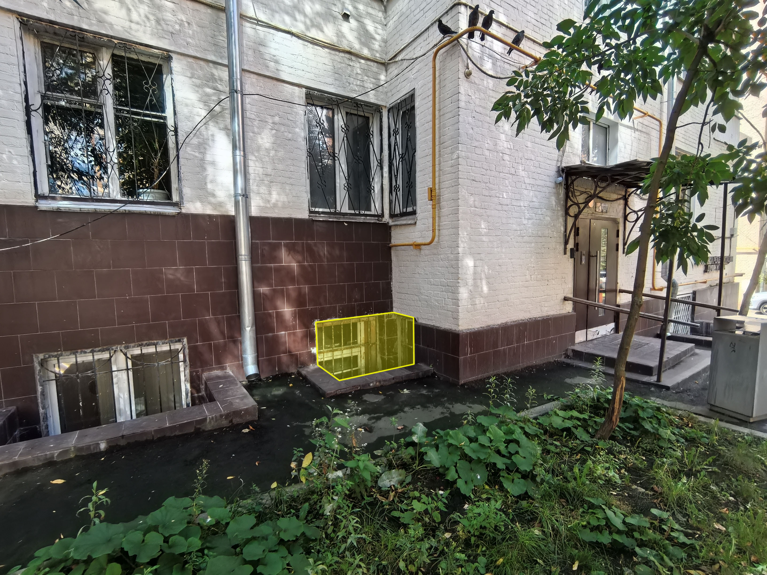 ГП17005856.Нежилое помещение.Фасад здания с выделенными окнами реализуемого объекта.jpg