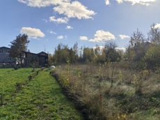 ГП17007309.Земельный участок.Общий вид объекта_10.jpg