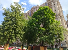 ГП16956597.Машино-место.Общий фасад здания_6.jpg