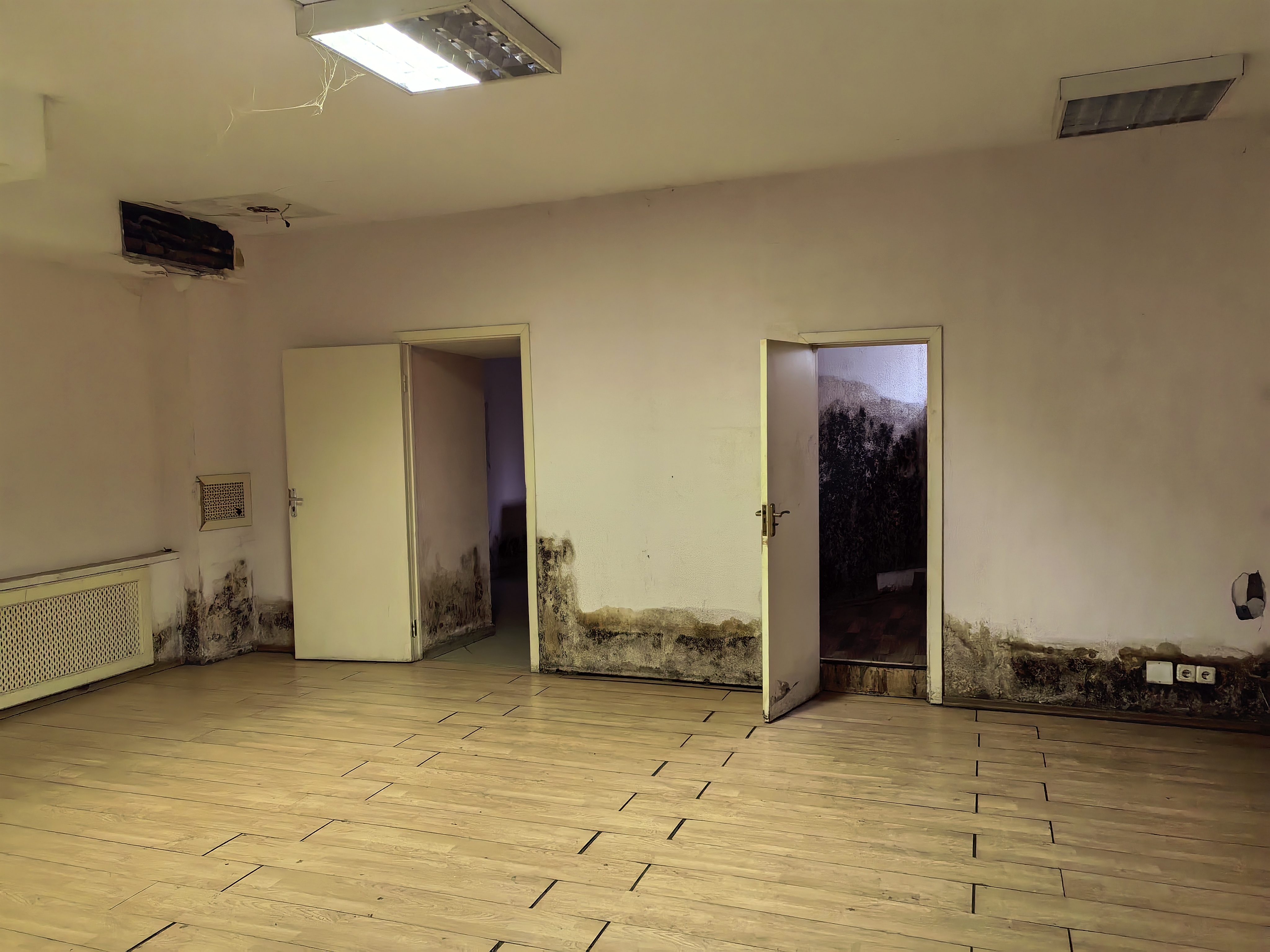 ГП17008143.Нежилое помещение.Каждое помещение_комната, входящее в состав реализуемого объекта _10.jpg