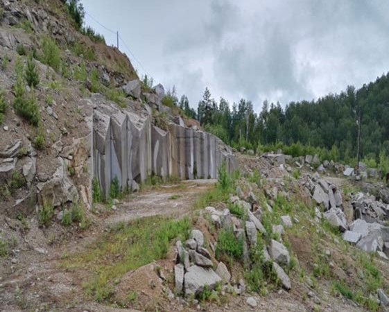 ГП17008312. Акции/доли. Общий вид объекта-8