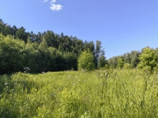 ГП16999837.Земельный участок.Общий вид объекта_2.jpg